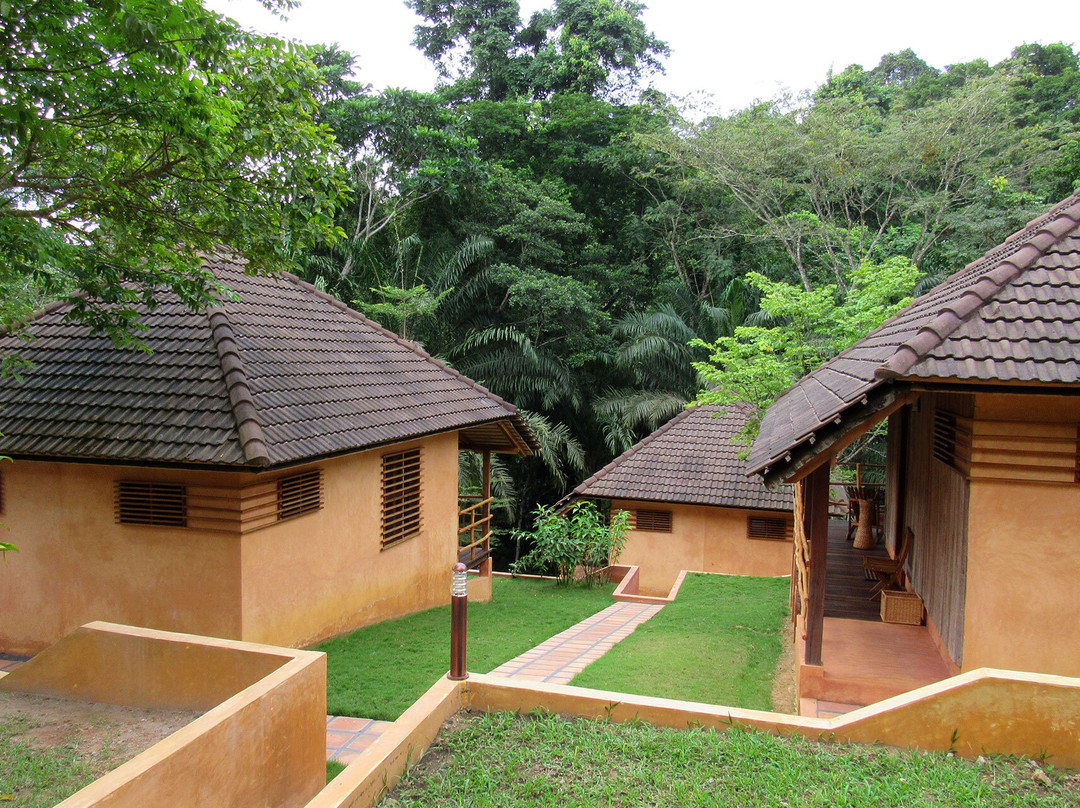 Ankasa Reserve Lodge