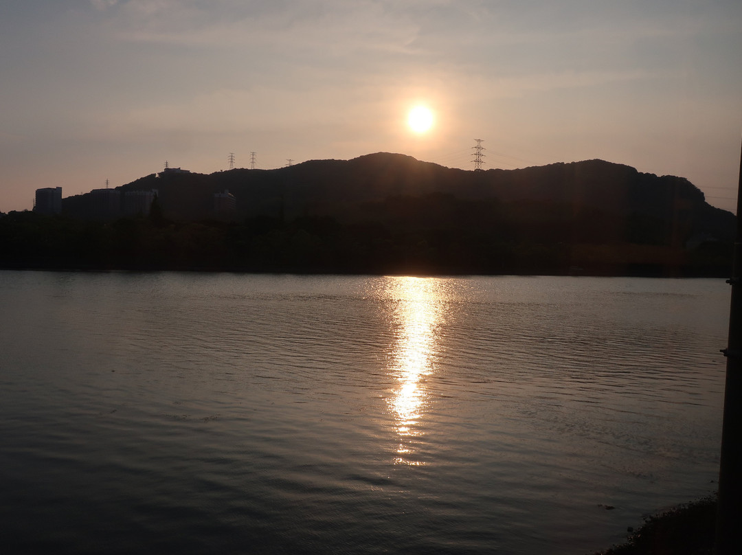 Omura Bay景点图片