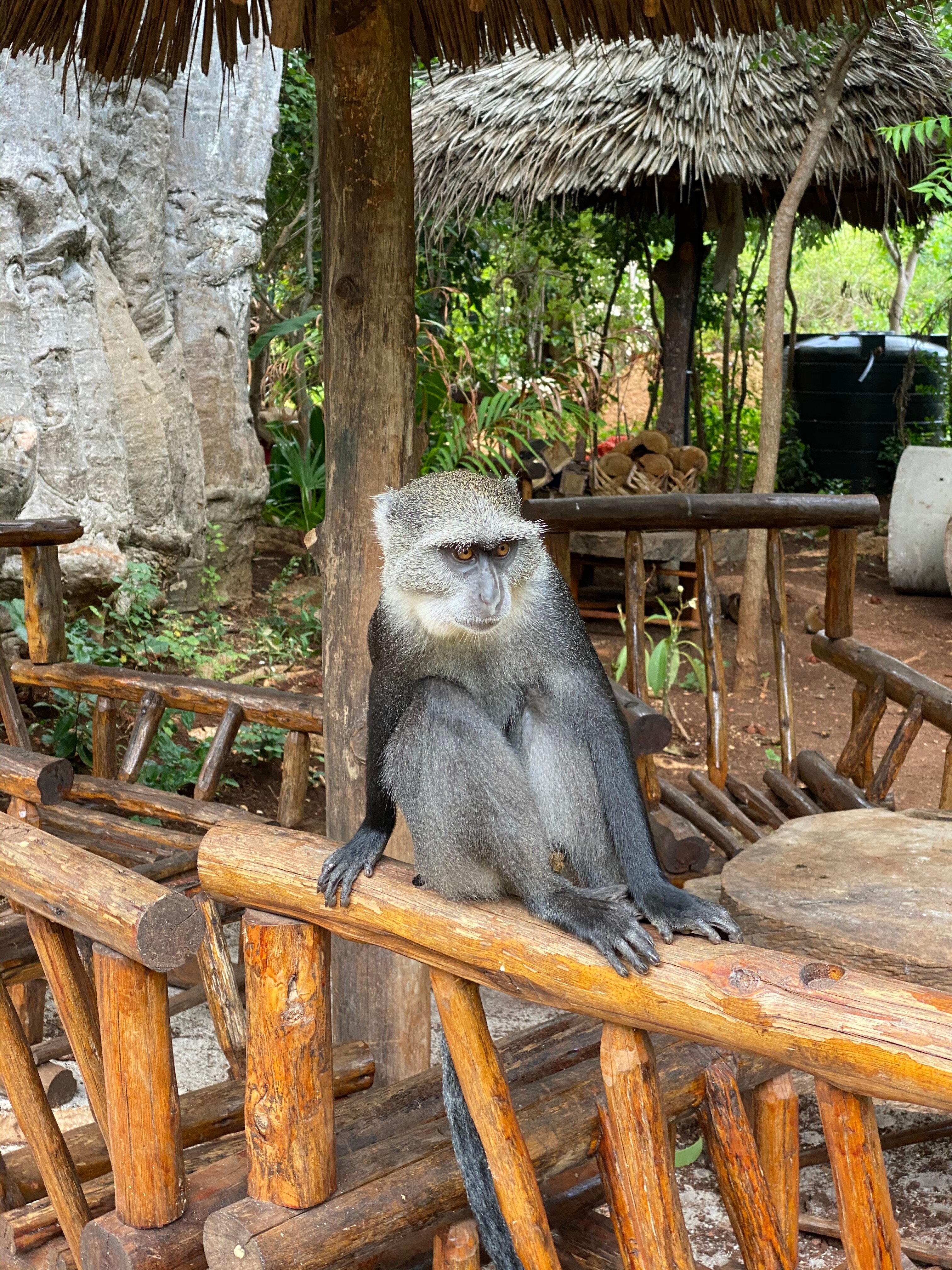 Eden Rock Zanzibar-官方