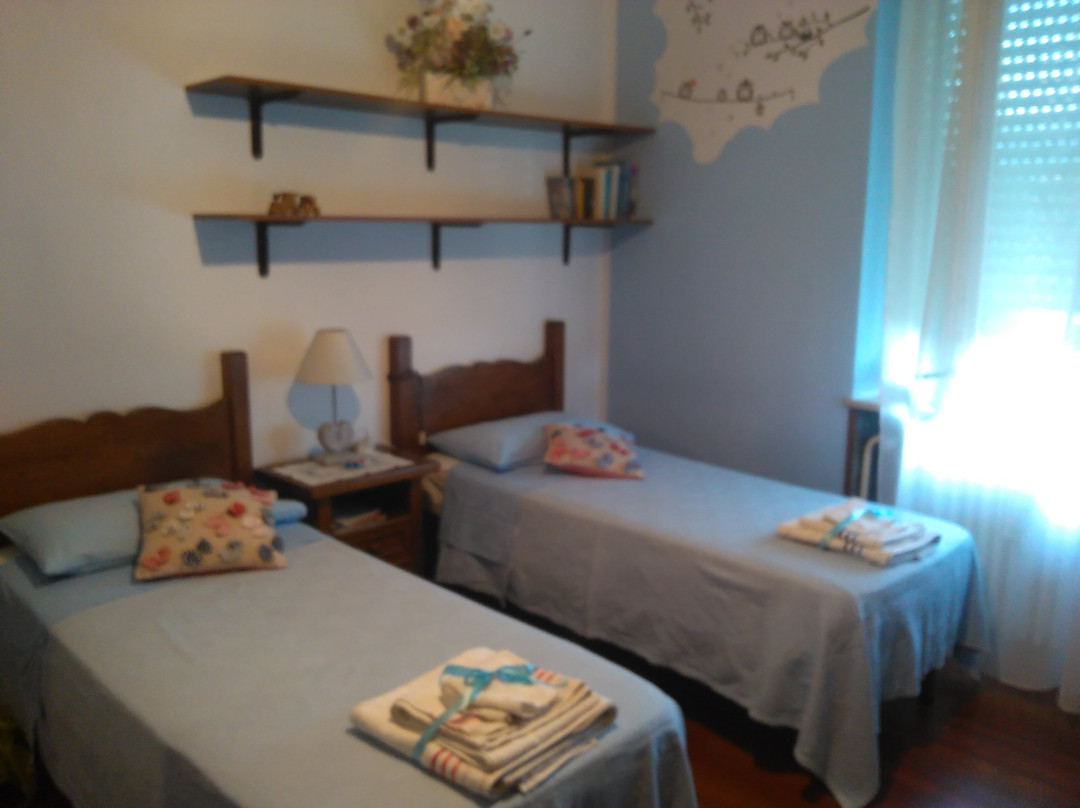 B&B Mimosa主图