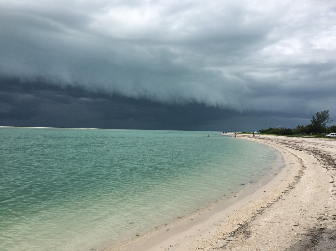 Playa Punta San Julian-卡门城必去景点