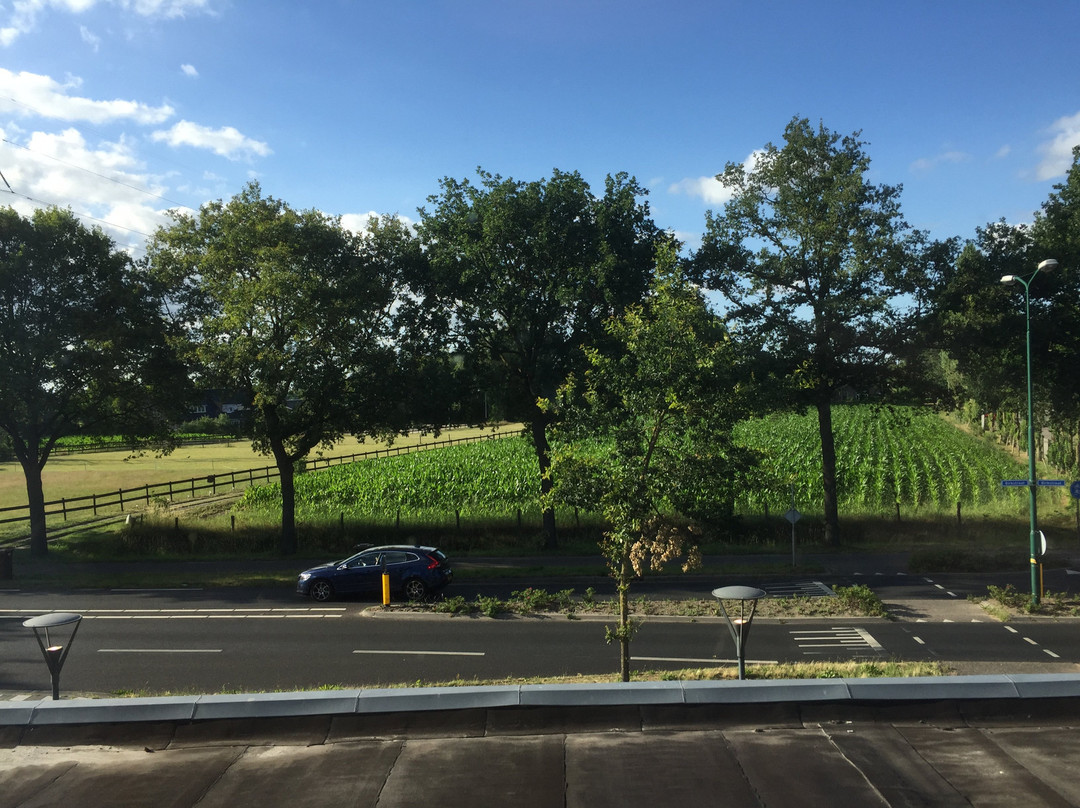 Fletcher Hotel-Restaurant Het Witte Huis主图