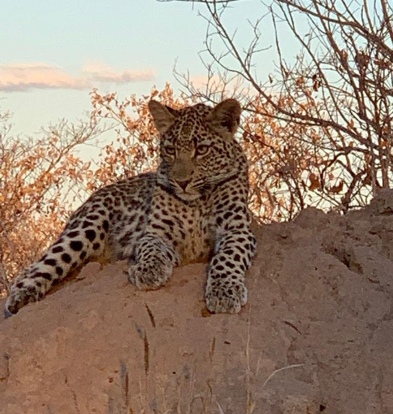 Idube Game Reserve-萨比沙禁猎区必去景点