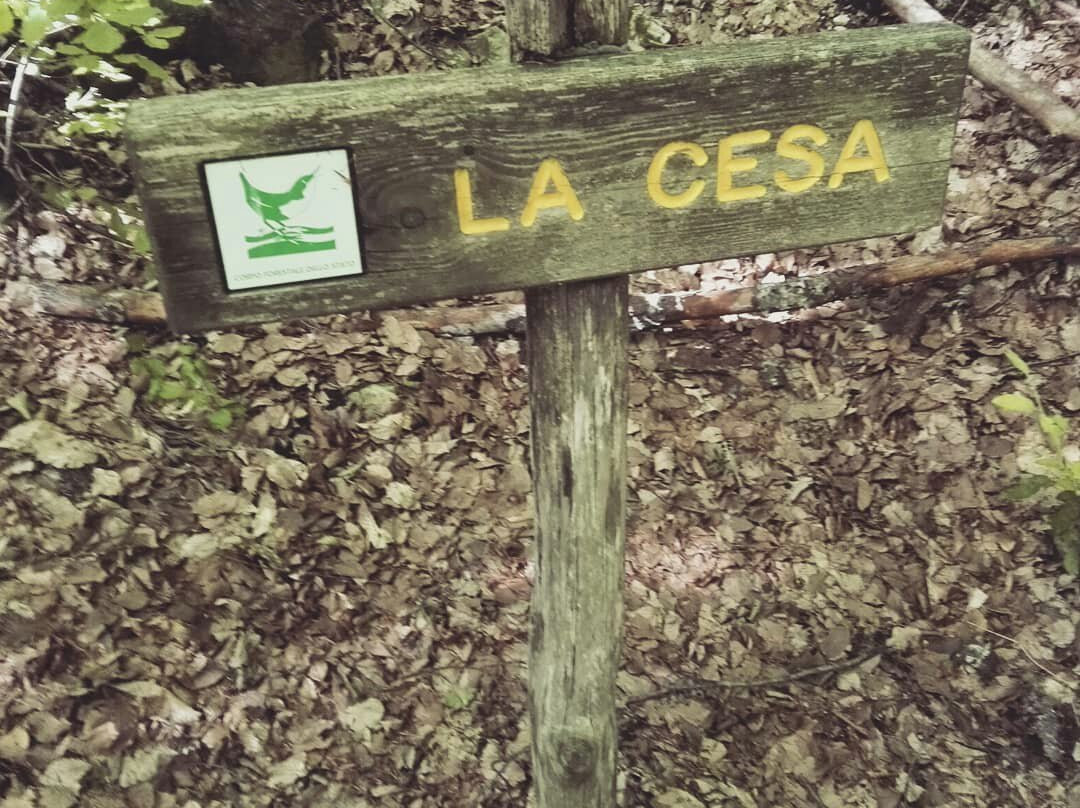 Eremo di Sant'Onofrio all'Orfento-Caramanico Terme必去景点