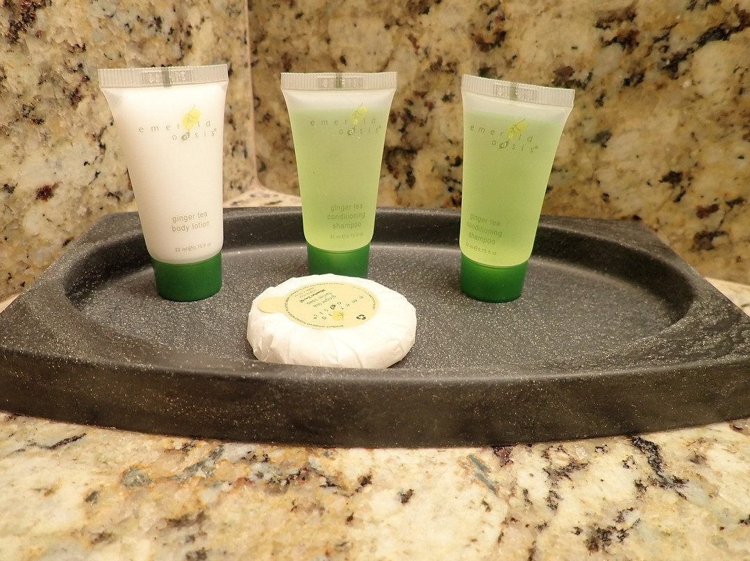 阿尔彭霍夫旅馆主图