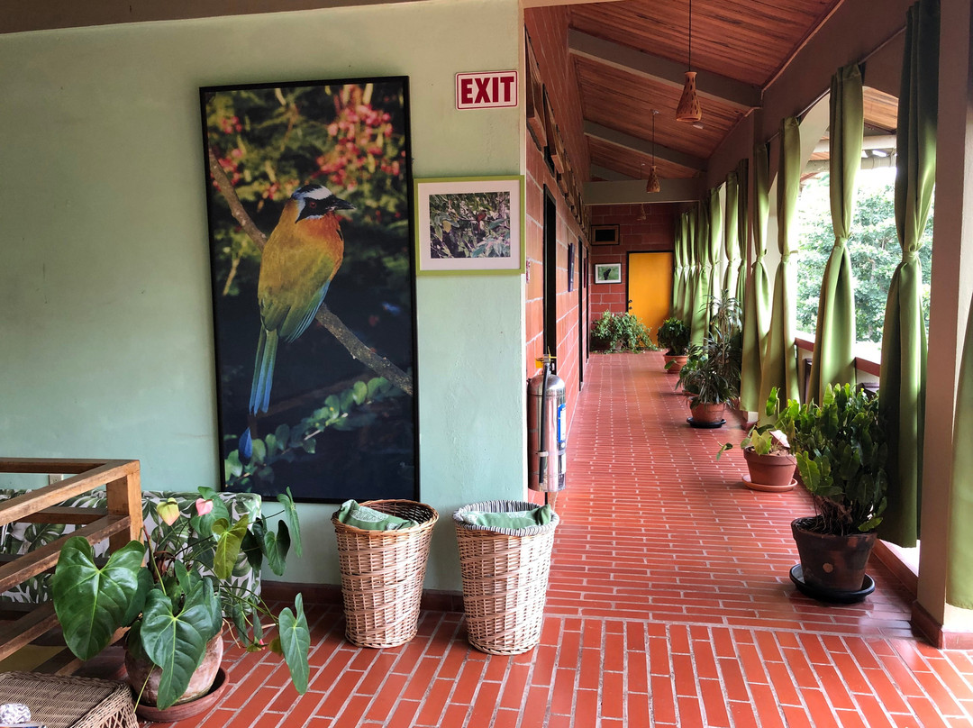 Cuffie River Nature Retreat主图