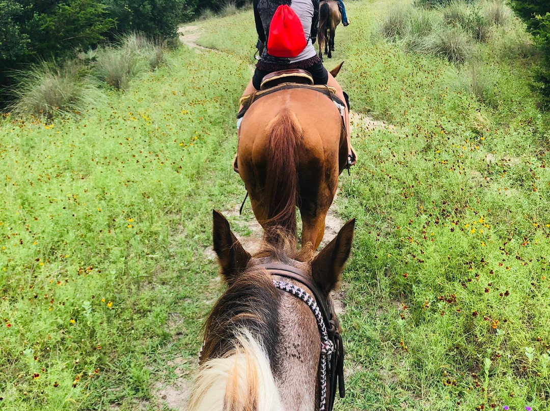 Juniper Hill Stables-Bandera必去景点