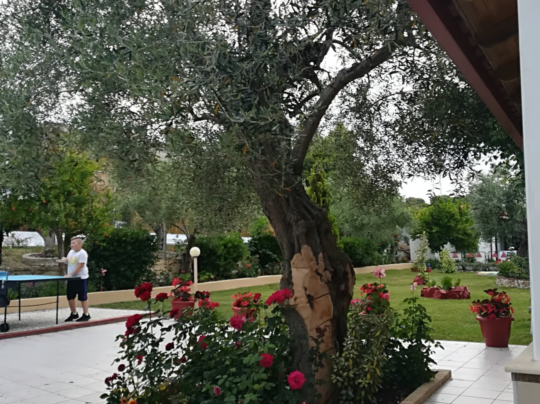 Olympic Bibis Hotel主图