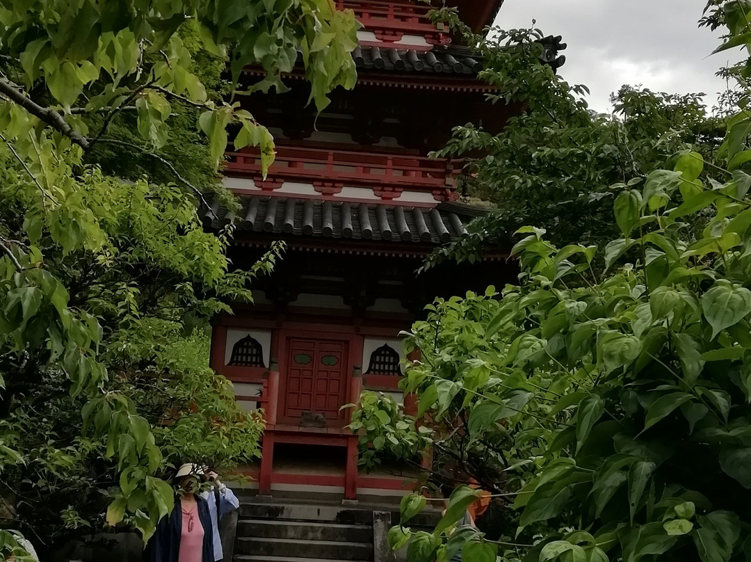 Mimuroto-ji Temple Sanjunoto景点图片