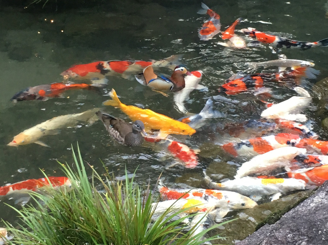 玛促达雅酒店主图