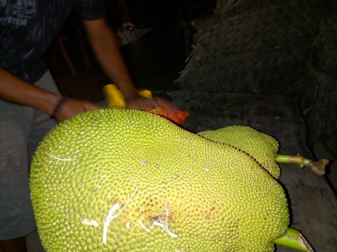 Holiday Driver-科伦坡必去景点