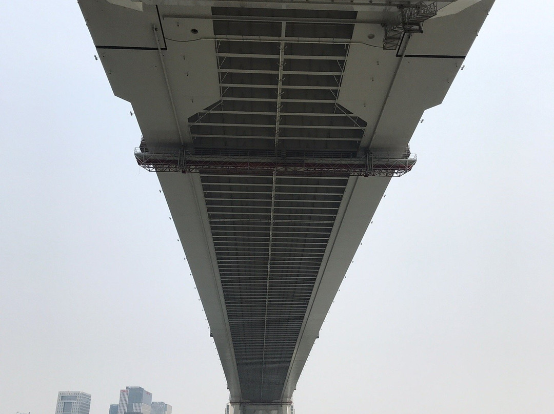 卢浦大桥-上海市必去景点