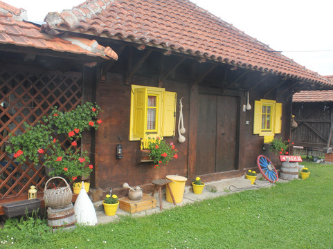 Ziveli Tours-贝尔格莱德必去景点