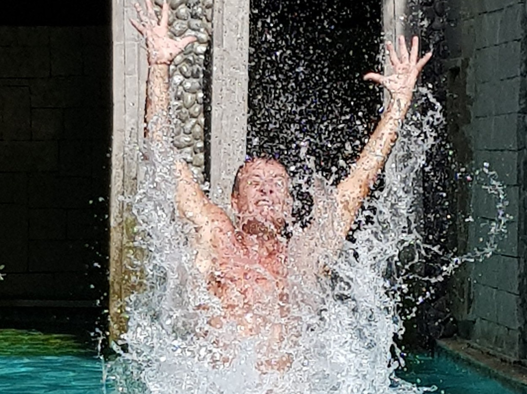 Avalon Ubud Villa主图