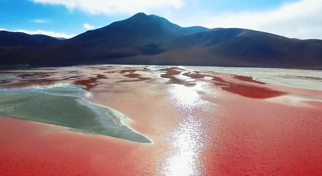 Eduardo Avaroa National Reserve of Andean Fauna景点图片