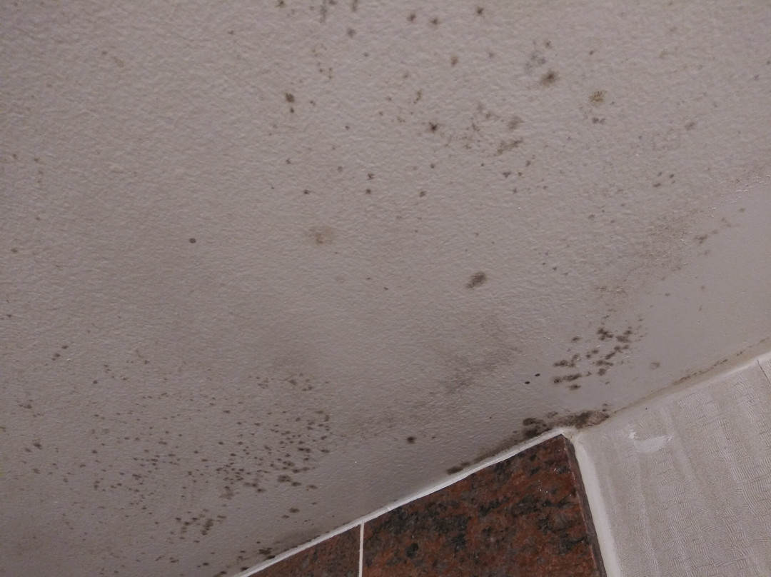 Days Inn by Wyndham Lanham Washington D.C主图