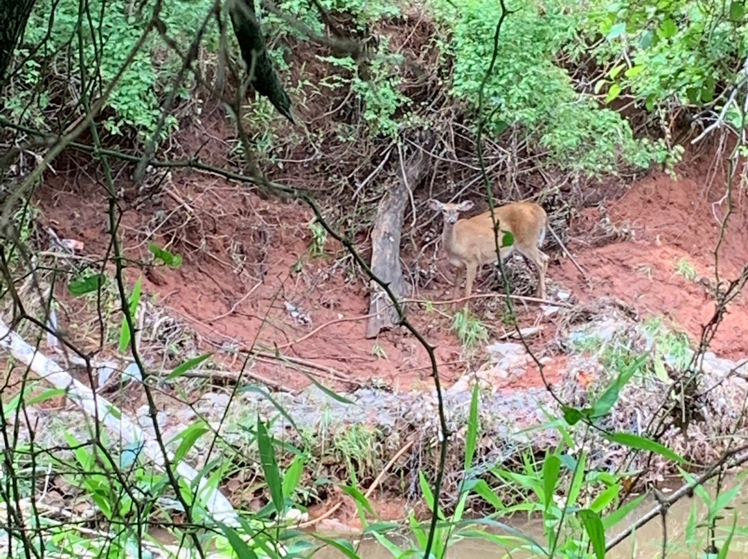 Martin Park Nature Center-俄克拉何马城必去景点