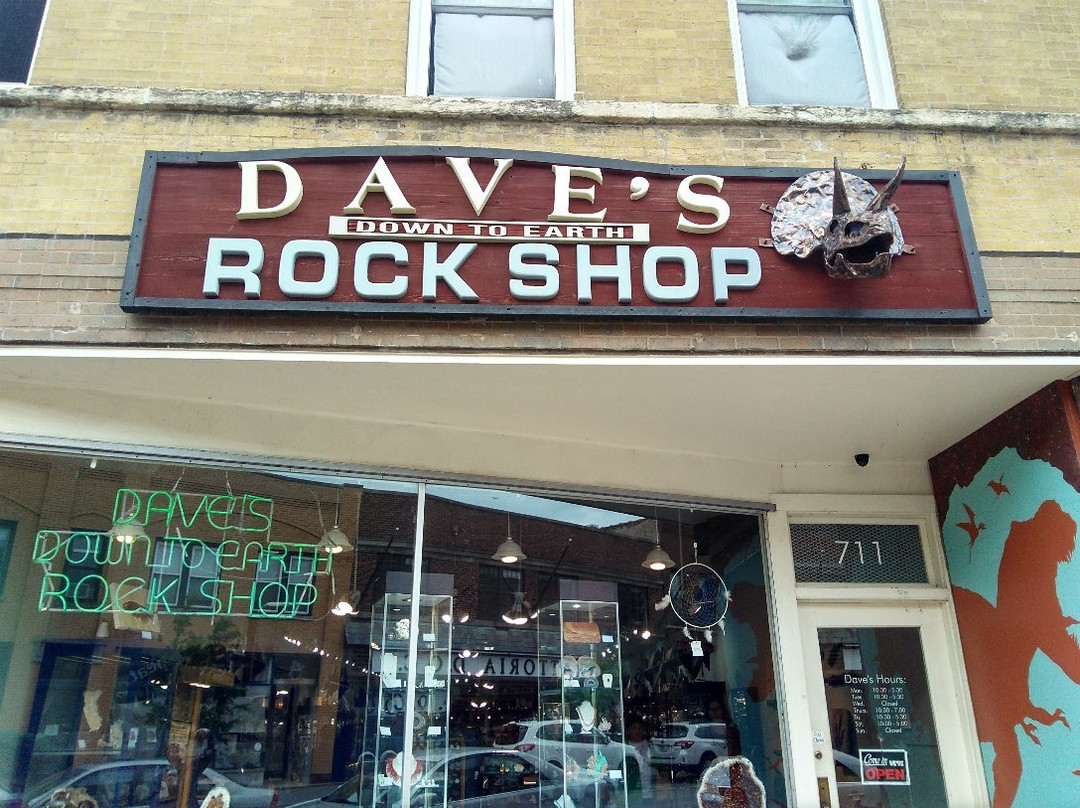 Dave's Down To Earth Rock Shop-埃文斯顿必去景点