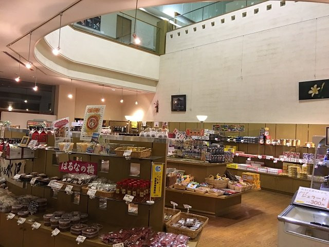 Lake Haruna Spa Yusuge主图