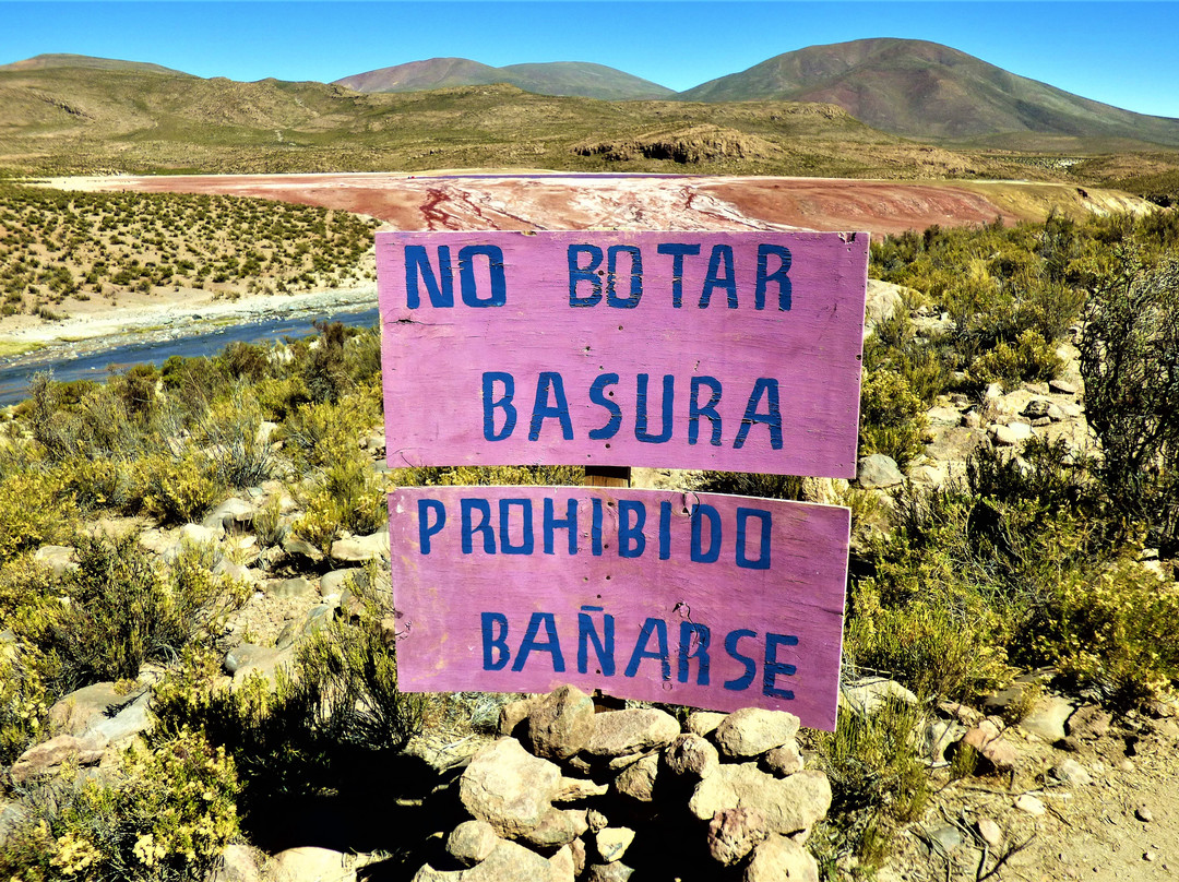Laguna Roja-阿里卡必去景点