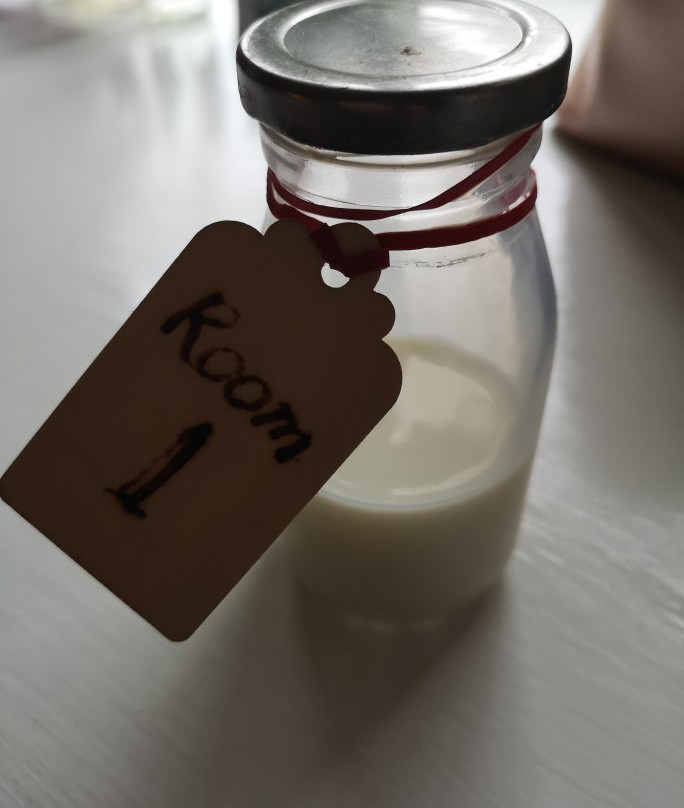 The Shimmerings主图