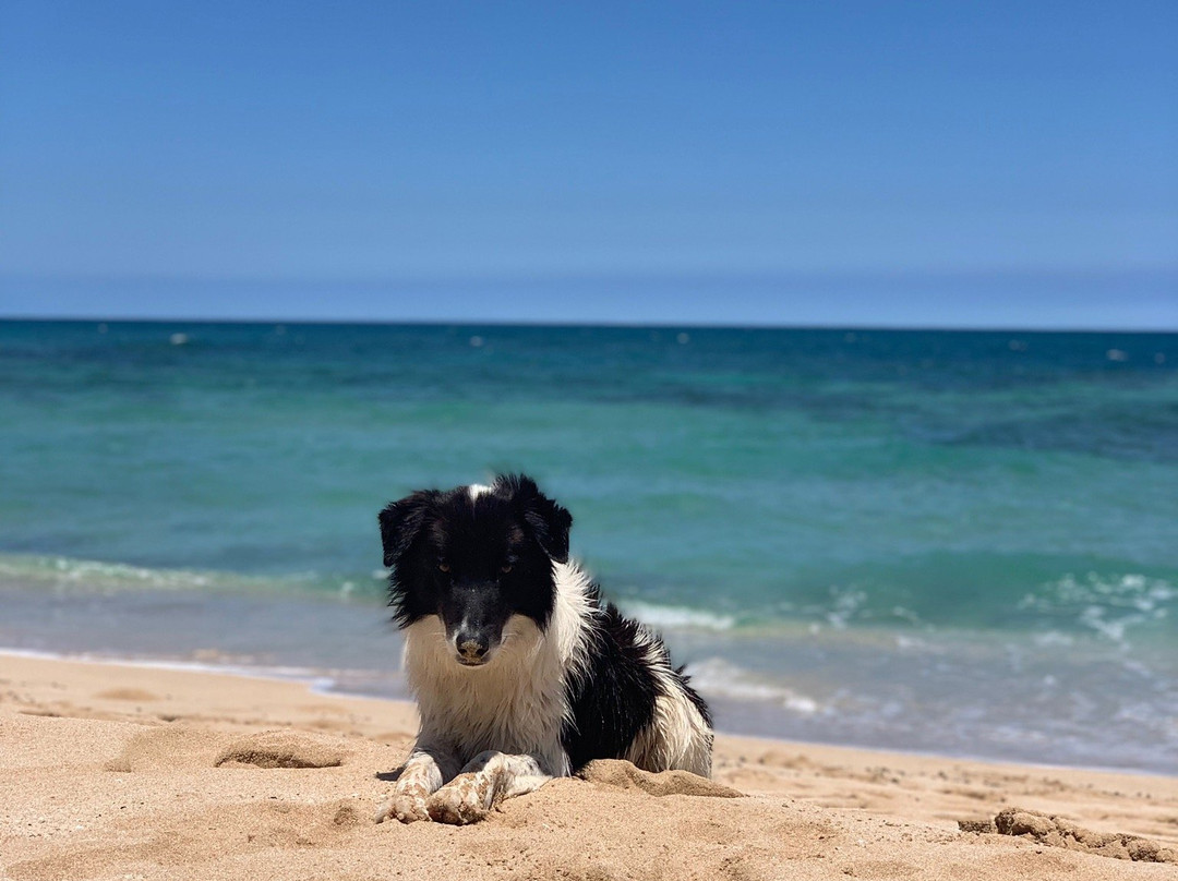 Lost Survivors Beach Camp-哈雷瓦必去景点