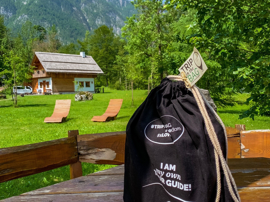 Chalet Apartments ALPIK主图
