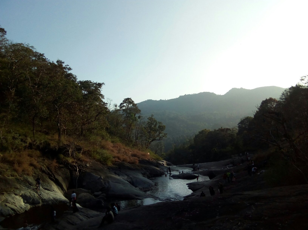 Kozhippara Falls景点图片