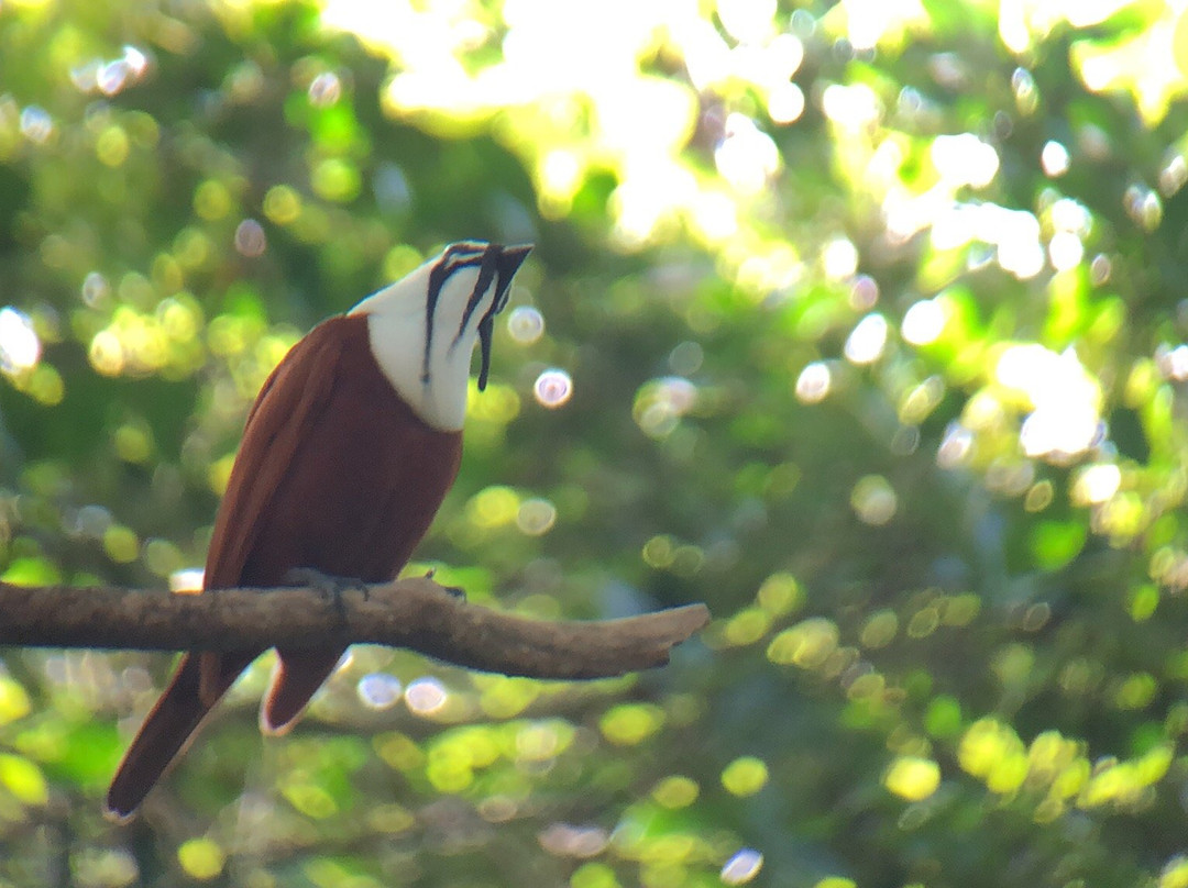 The Birding Experience景点图片