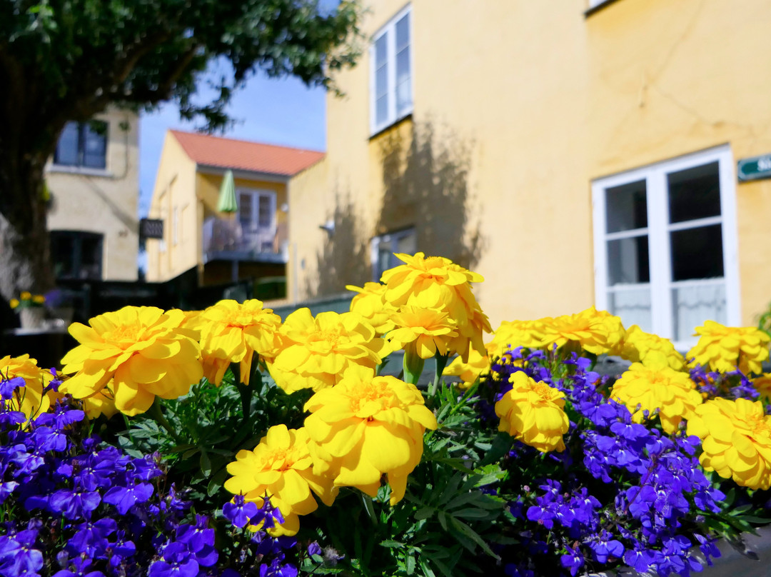 Dragoer Hotel & holiday apartments主图