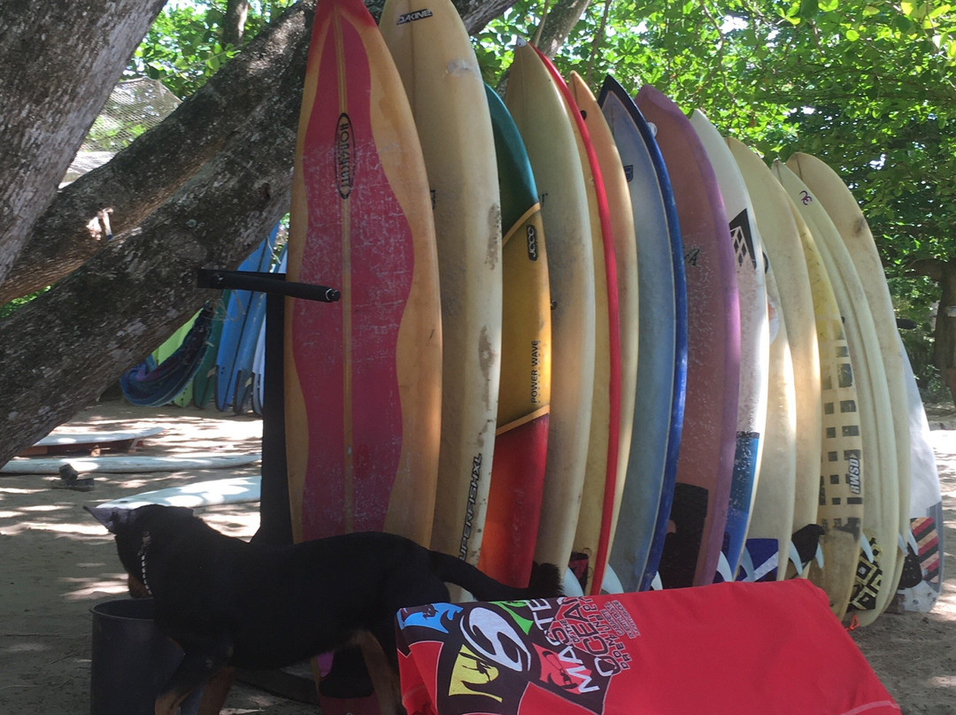 321 Takeoff School of Riding Waves-喀巴里特必去景点