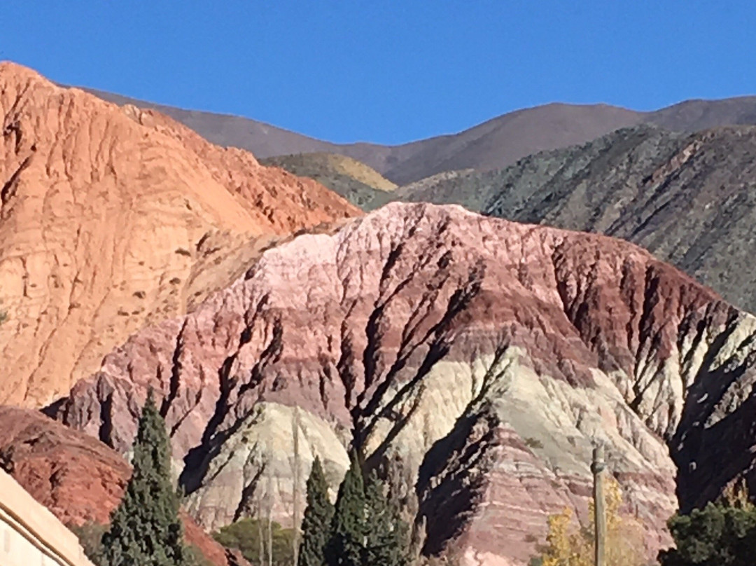 El Viejo Algarrobo主图