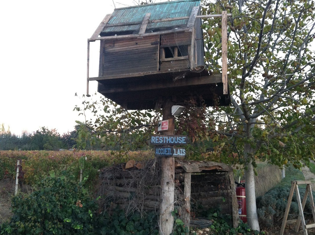 Massaya Winery景点图片