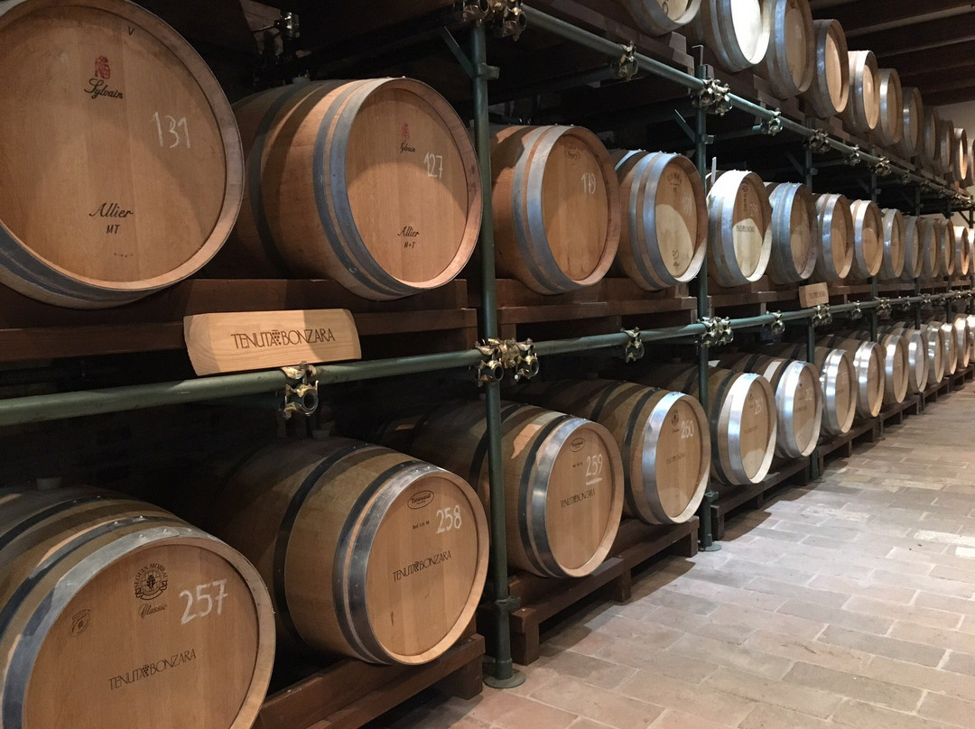 Tenuta Bonzara