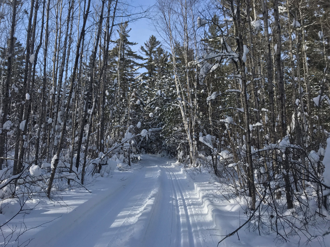 Flathorn - Gegoka Cross Country Ski Trails景点图片