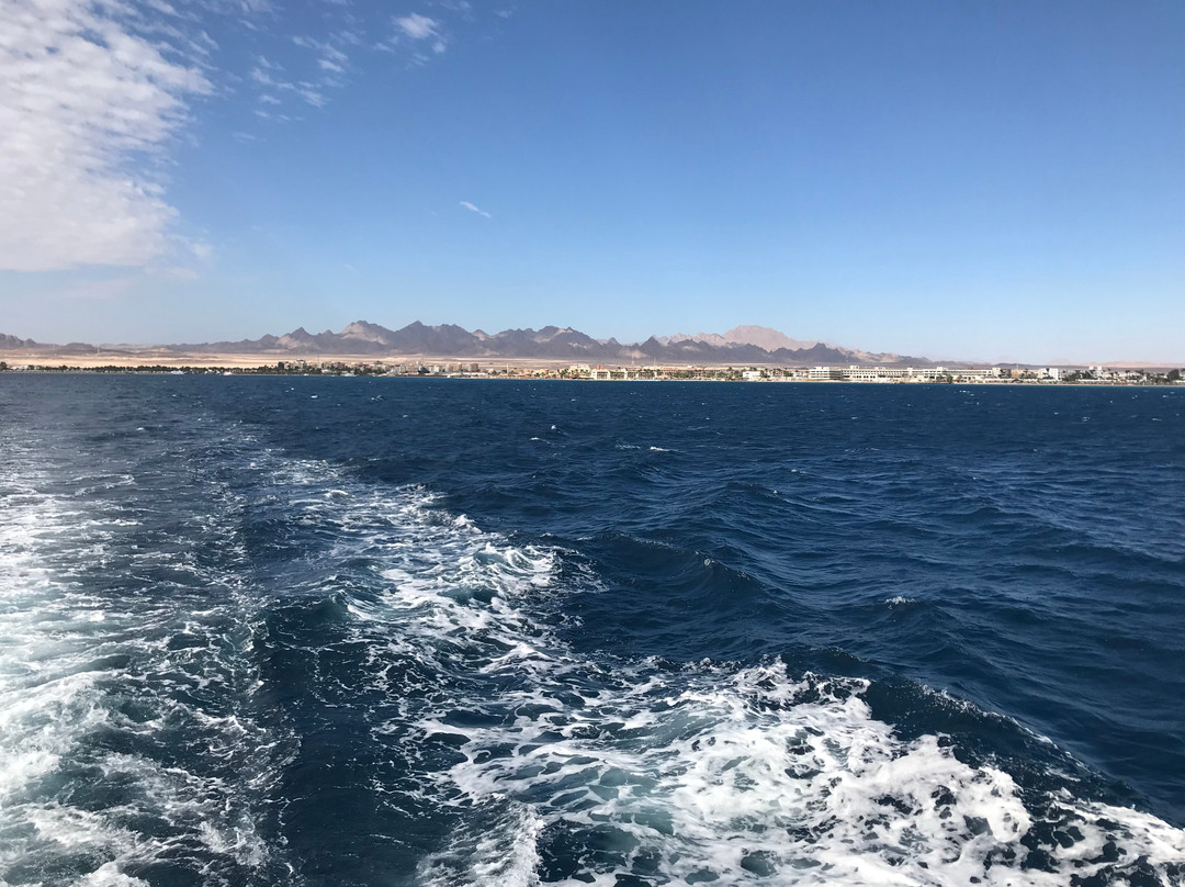 Barakuda Diving Center Safaga-Safaga必去景点