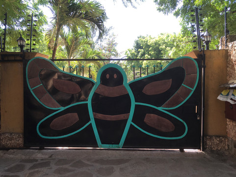 Mombasa Butterfly House-蒙巴萨必去景点
