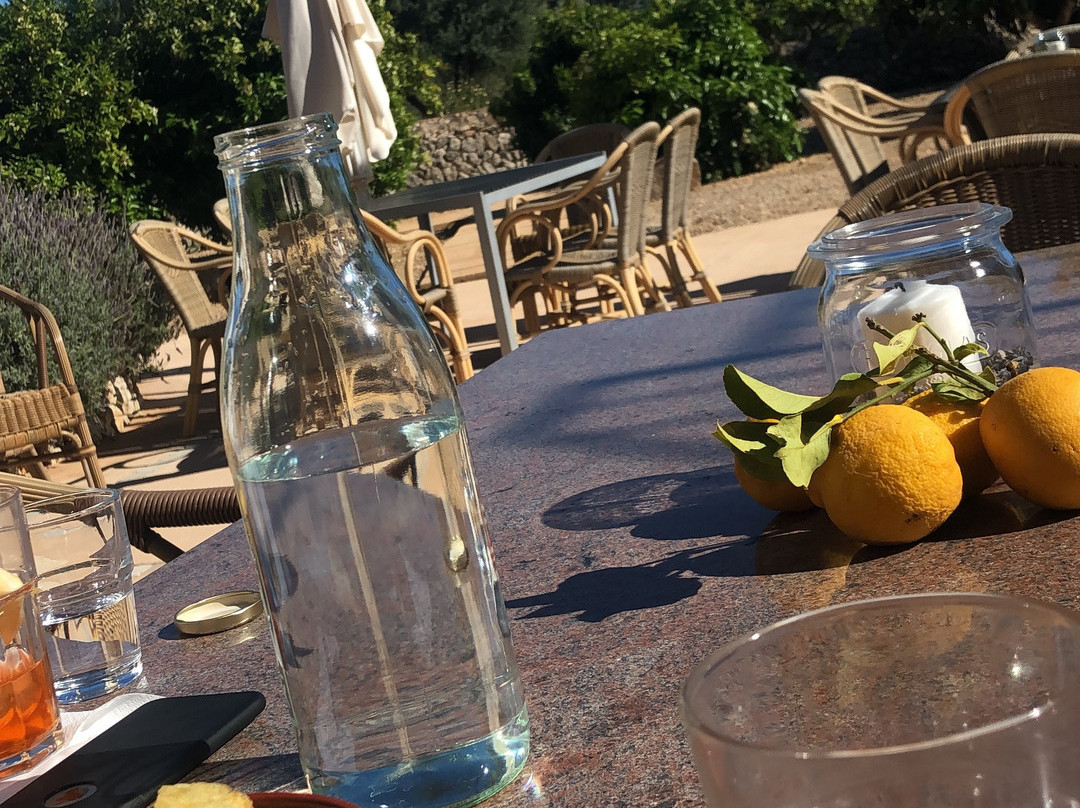 Agroturismo Fincahotel Son Pou Felanitx主图