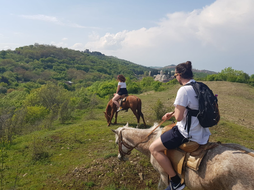 Living Roots Horse Ranch (Lost Ridge Ranch)-西格纳吉必去景点