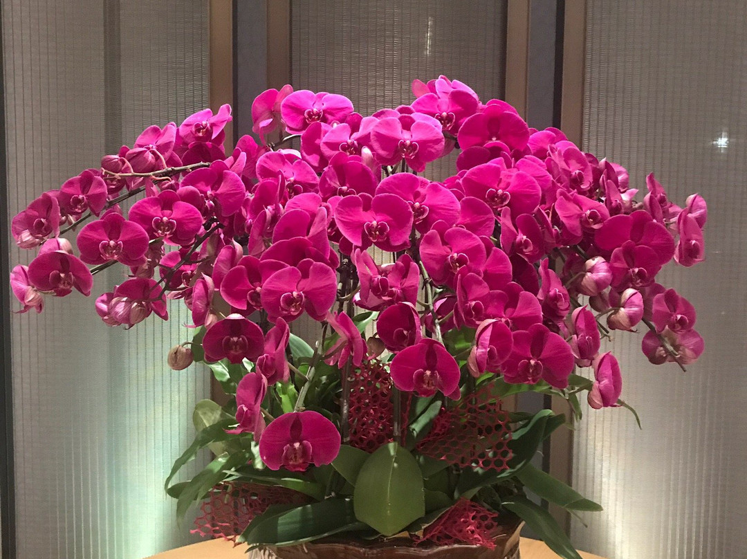 嵊州文枫华美达广场酒店主图