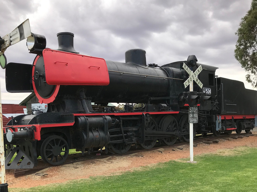 Lions' Train Park-Donald必去景点