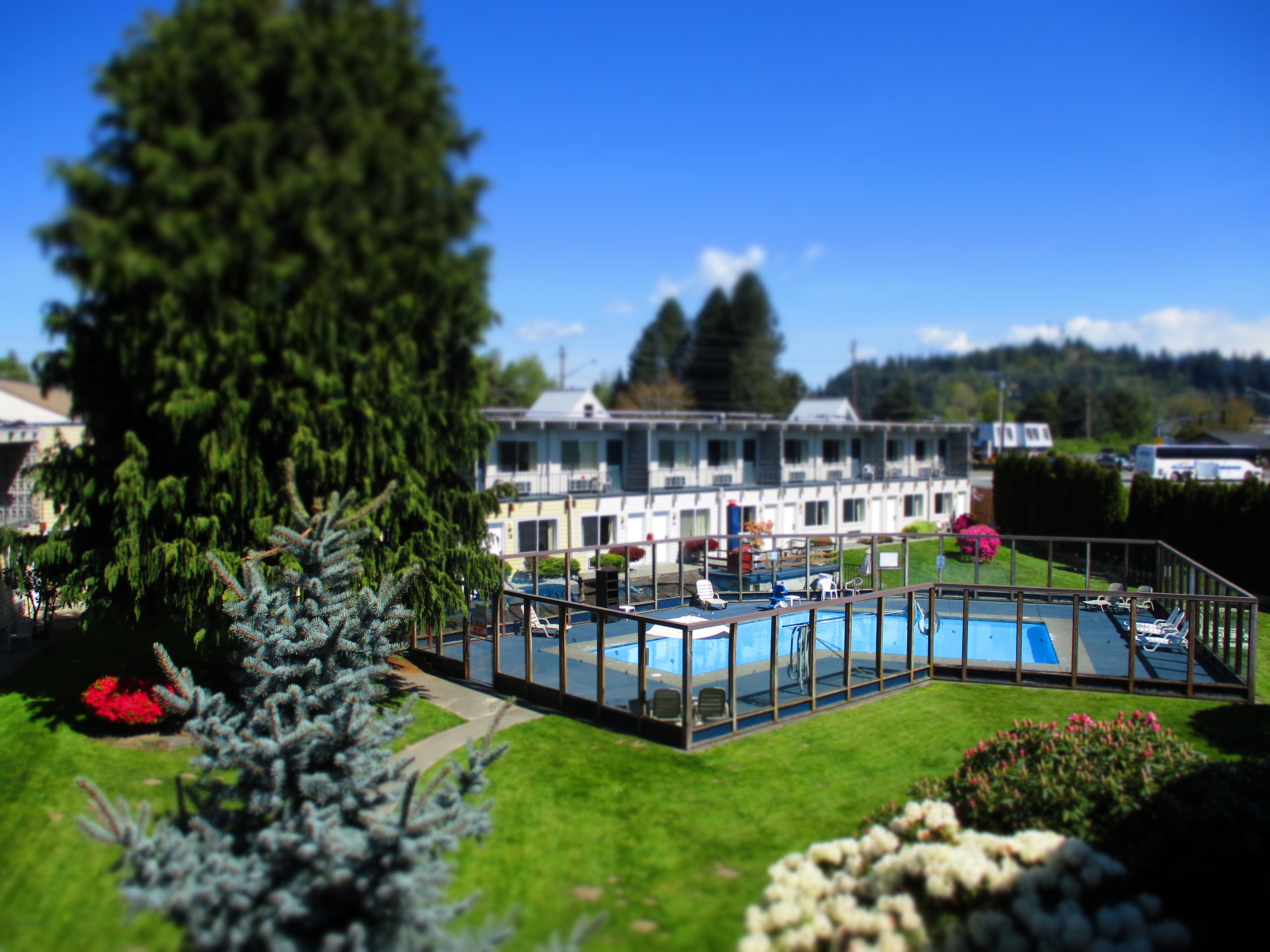 Cocusa Motel-官方