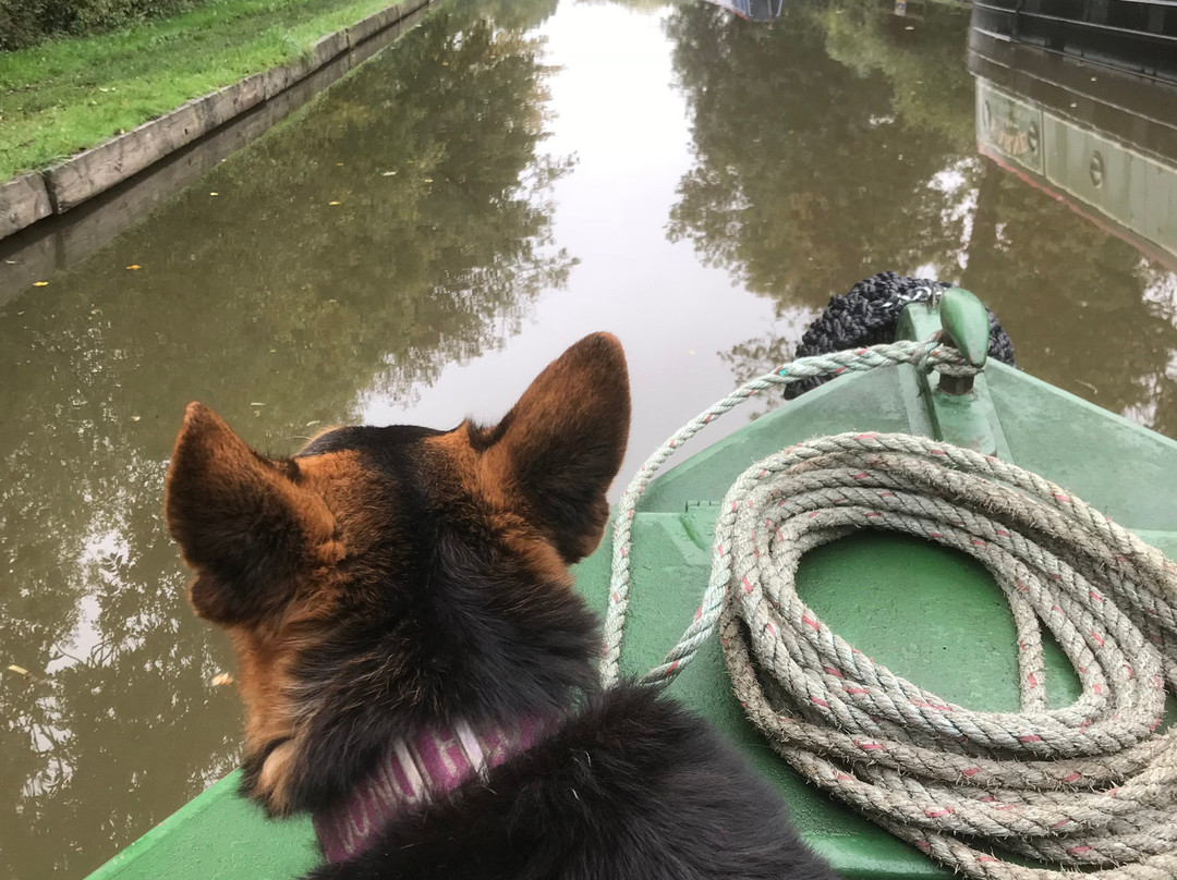 Canal Cruising景点图片