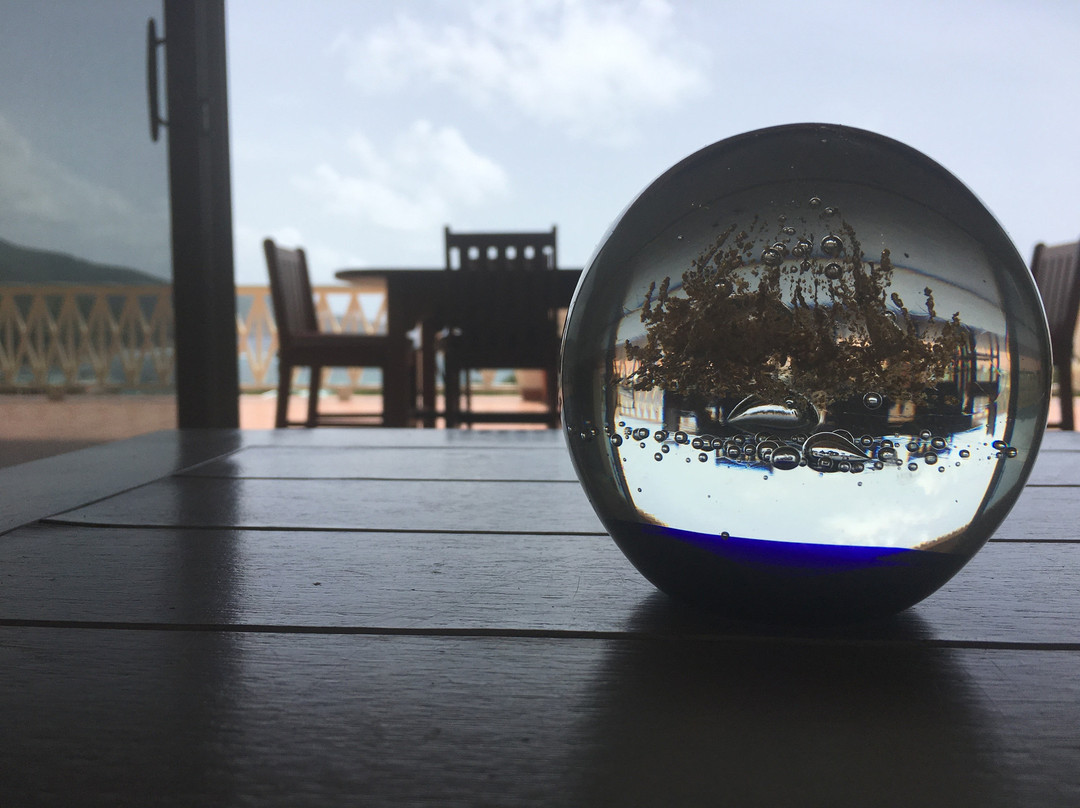 Virgin Gorda Village主图