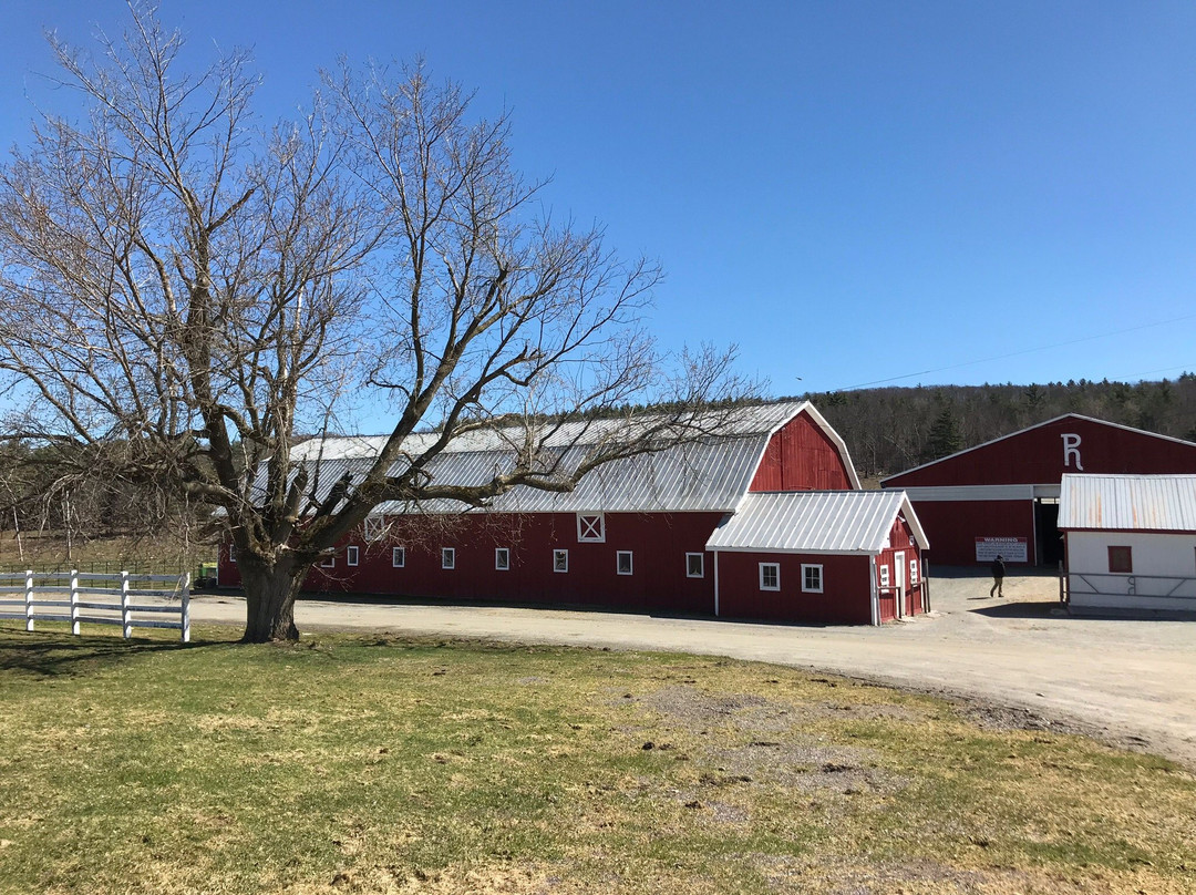 Pond Hill Ranch and Pro Rodeo-Castleton必去景点