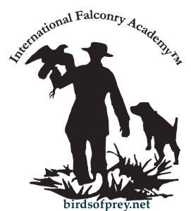 International Falconry Academy景点图片