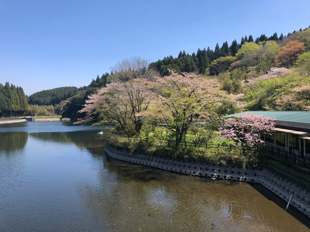 Idenoyama Park景点图片