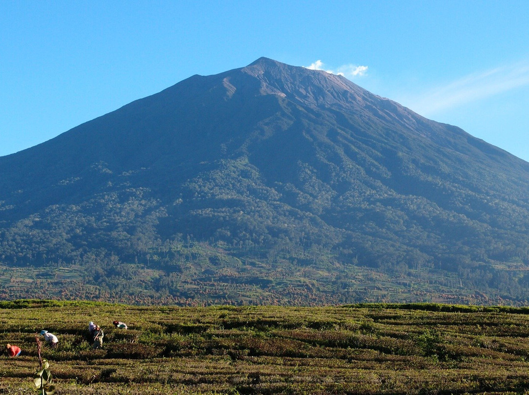 MAC Tours-Padang Pariaman必去景点
