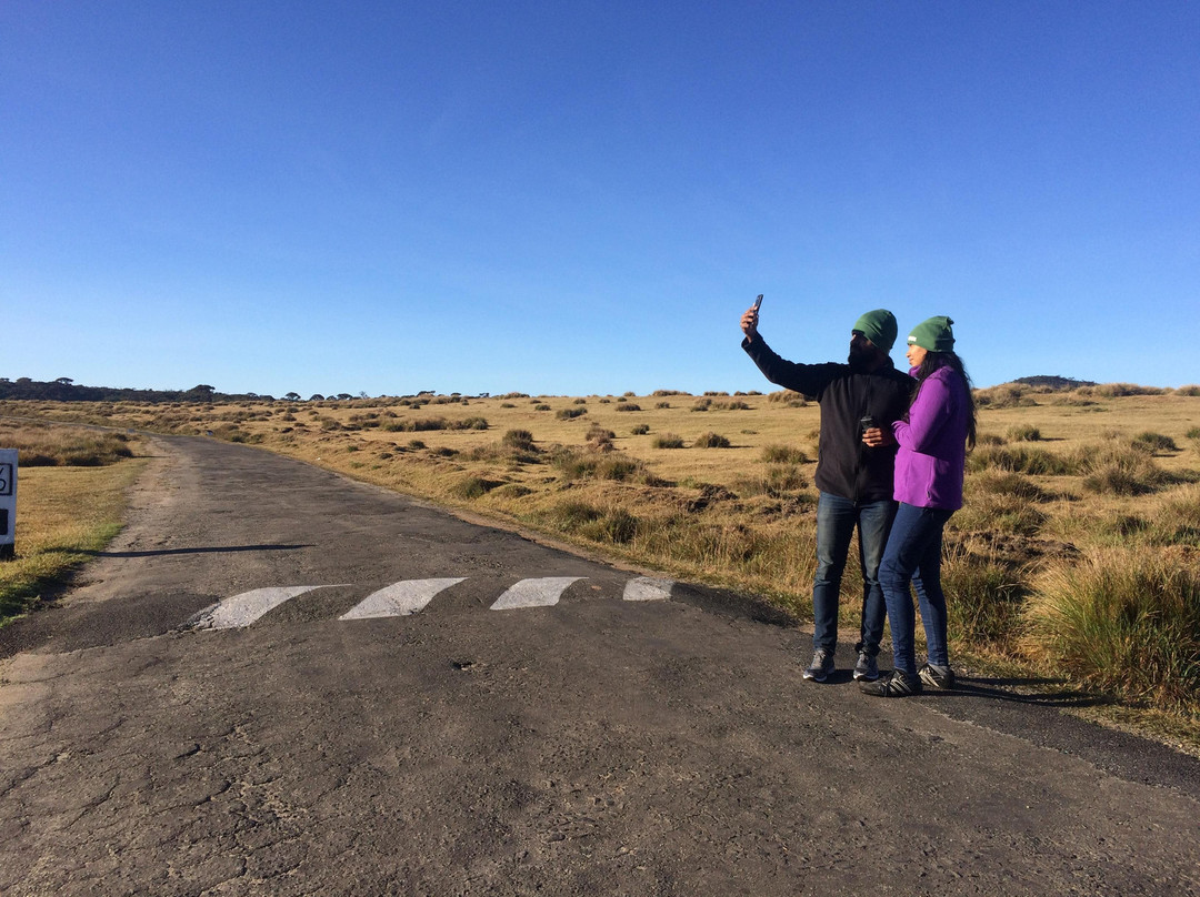 nitwo tours srilanka