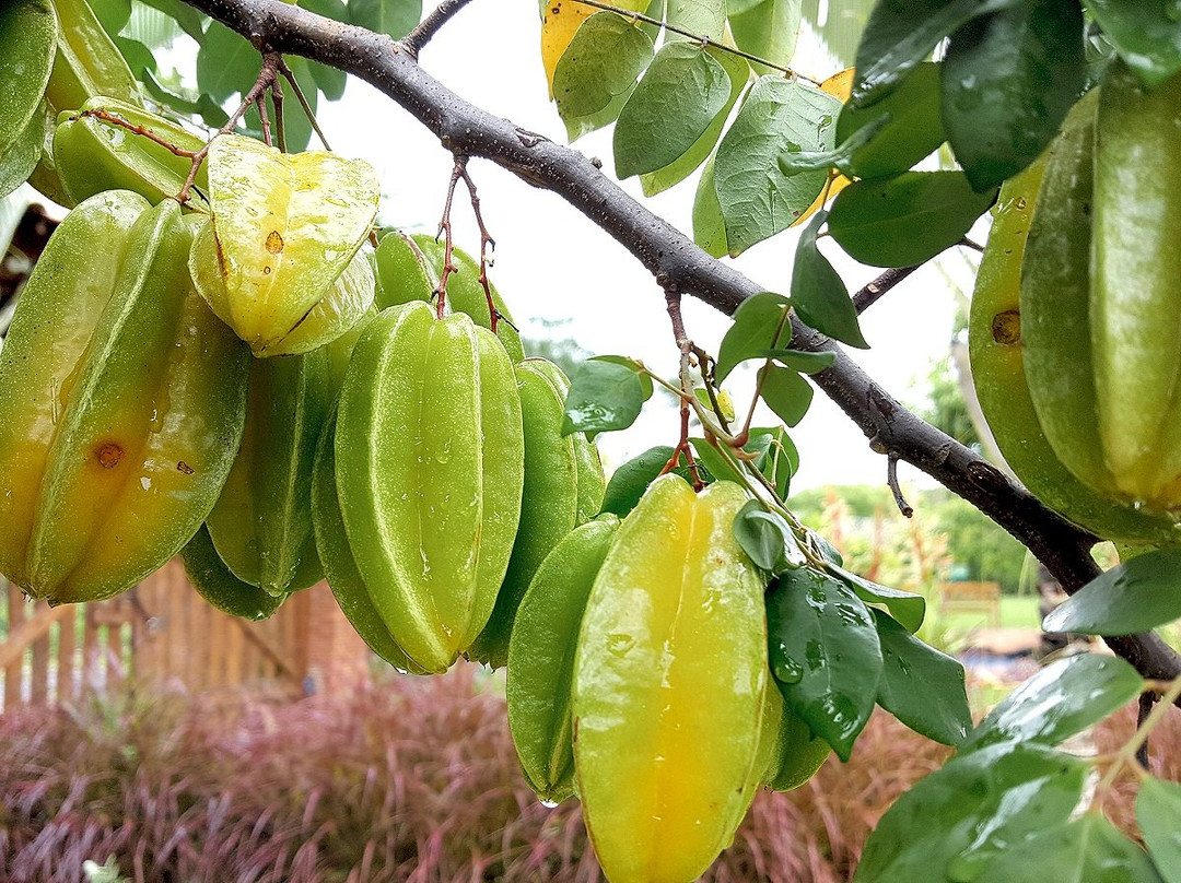 Chalé Lumiar Pousada主图